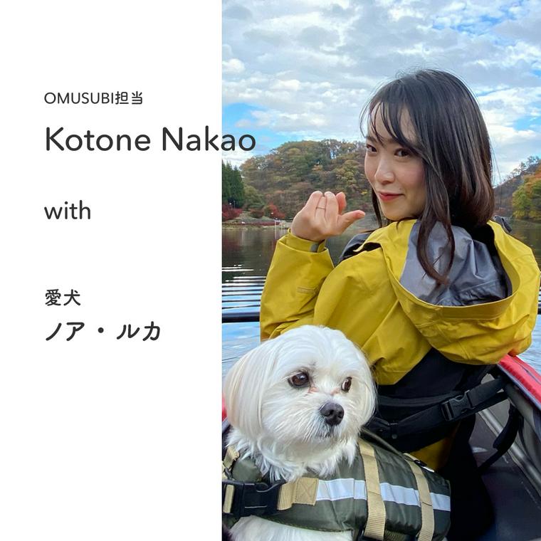 ペトコトスタッフの中尾