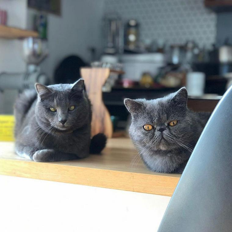 ミンとミノ