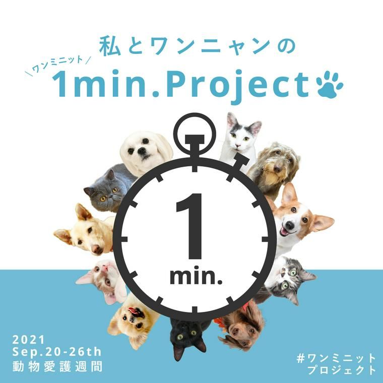 ワンミニットプロジェクトpetokoto
