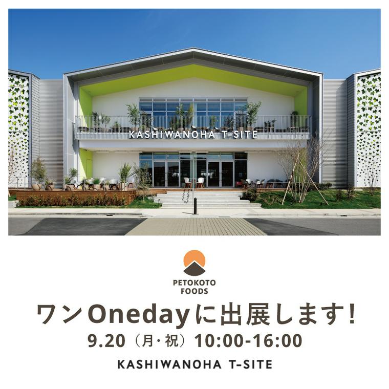 わんOneDay
