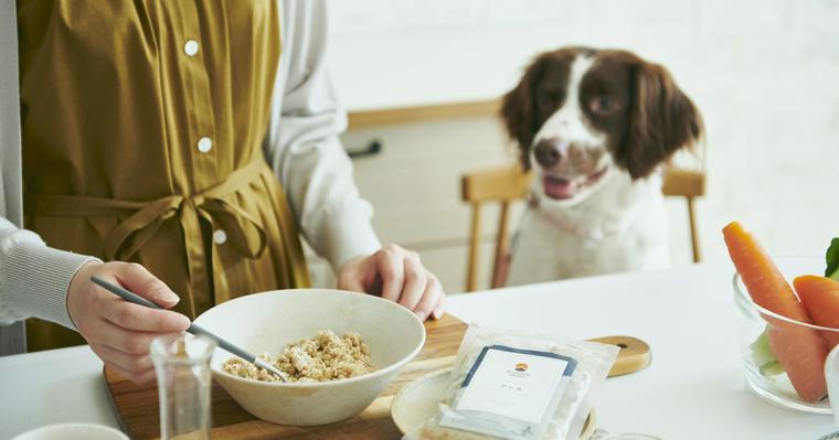 犬のカロリー計算を栄養管理士が解説！手作りごはんやダイエットで最適なフード量とは