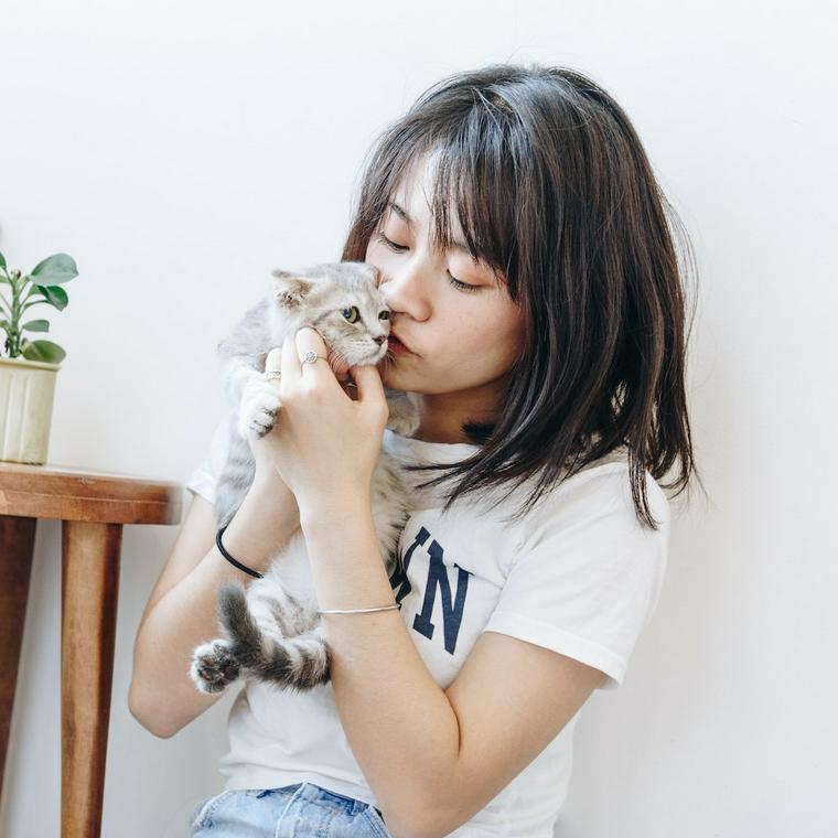 人と猫のキスはng 理由やリスクを獣医師が解説 ペトコト