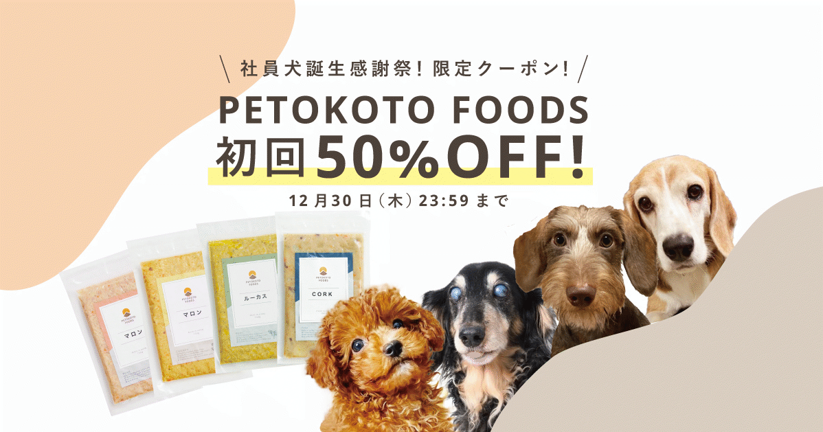 社員犬たちの誕生感謝祭!PETOKOTO FOODSが50%OFFで購入できます【30日まで】