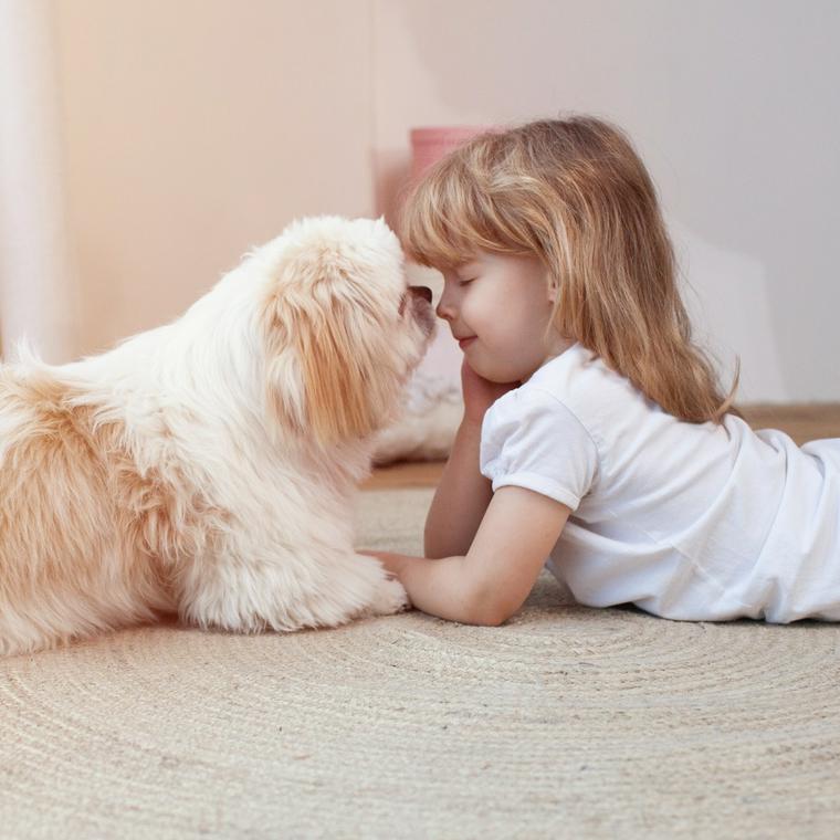 顔をあわせる犬と女の子