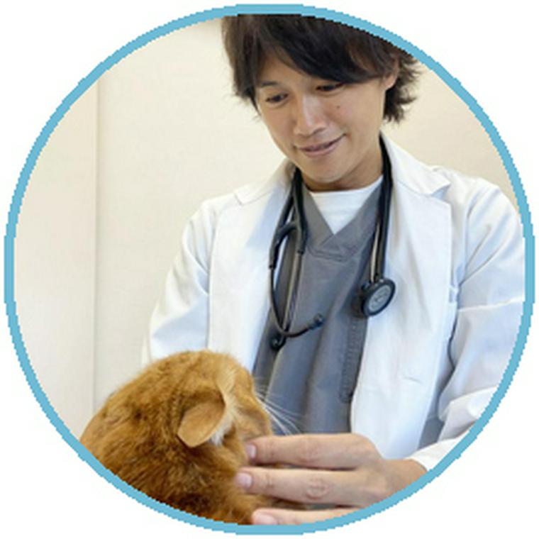 佐藤貴紀(獣医師)