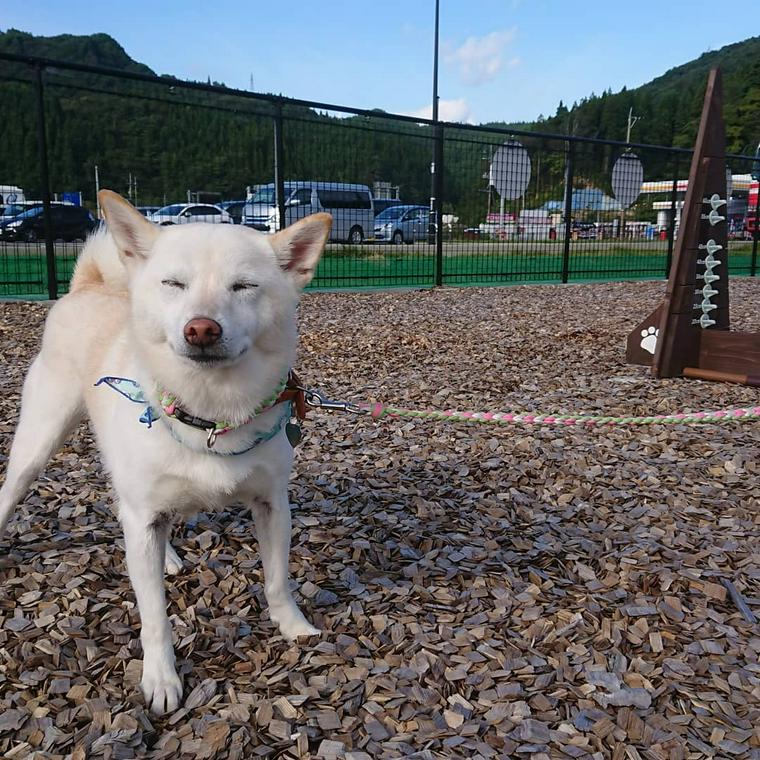 道の駅ふたつい