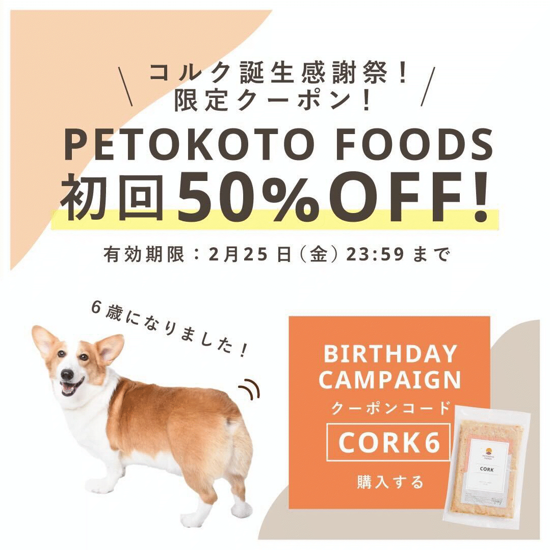 PETOKOTO FOODS