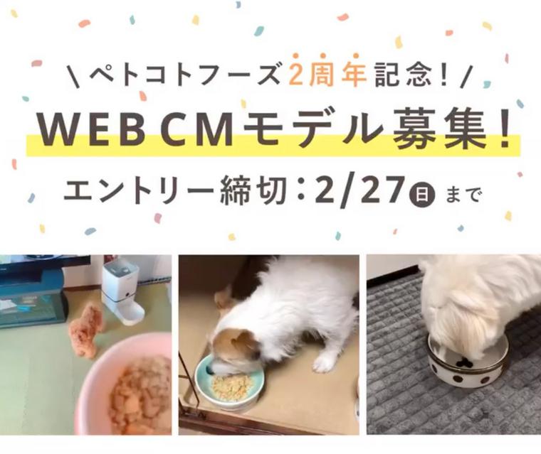 PETOKOTO FOODSのWEB CMモデルを募集