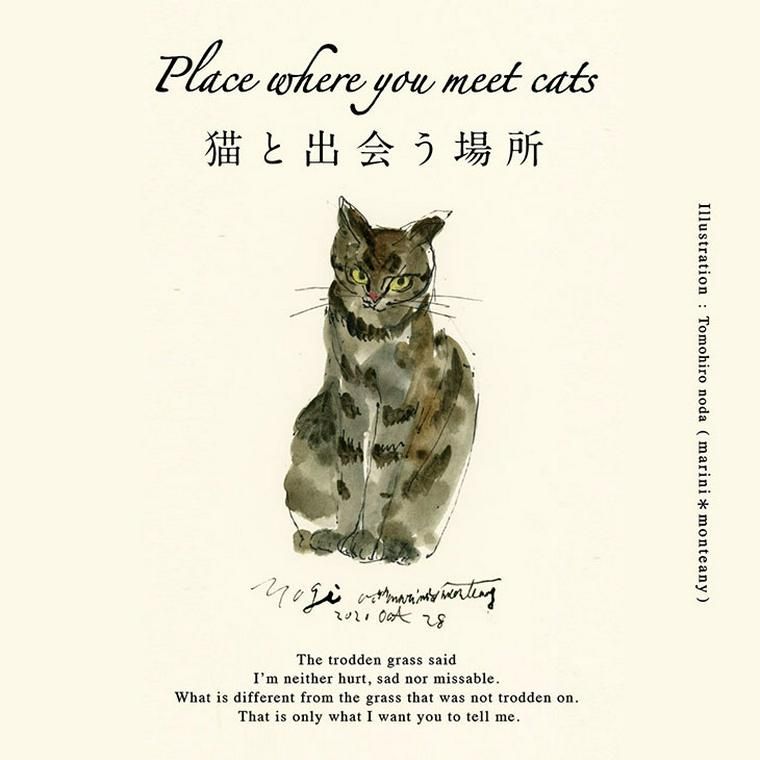 Place where you meet cats ~猫と出会う場所~
