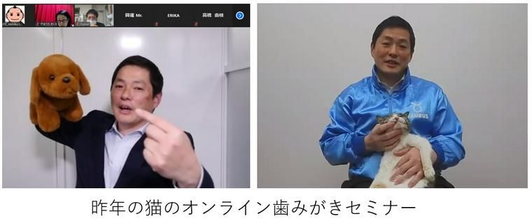 「歯磨きが苦手な猫のための簡単歯磨き」無料オンラインセミナーの様子