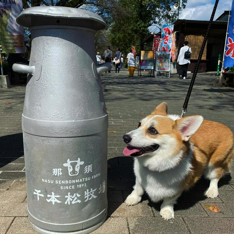 那須千本松牧場