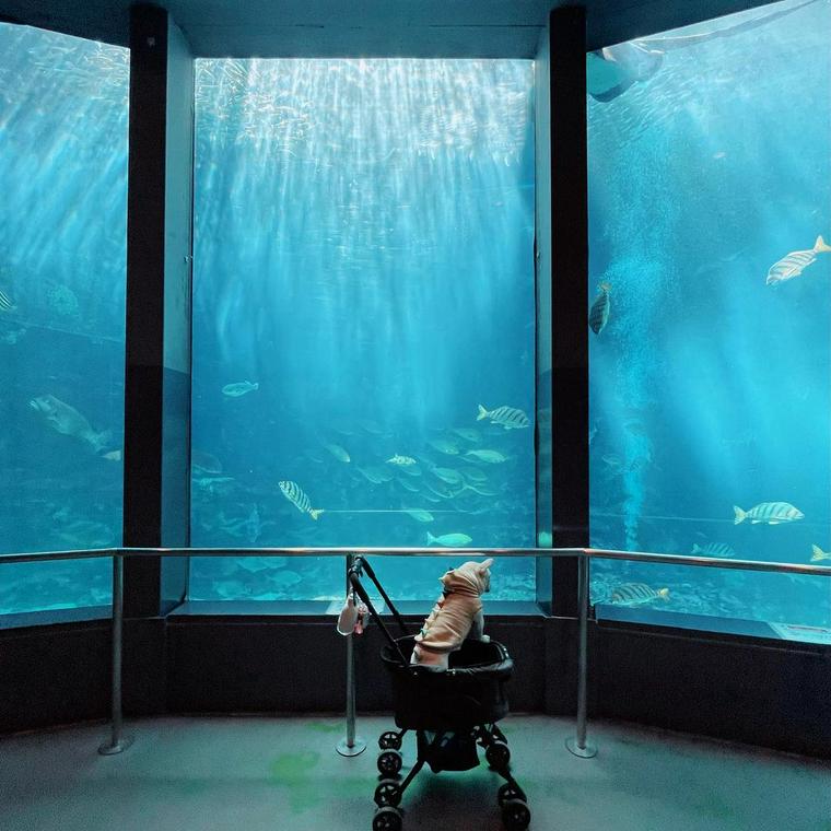 下田海中水族館