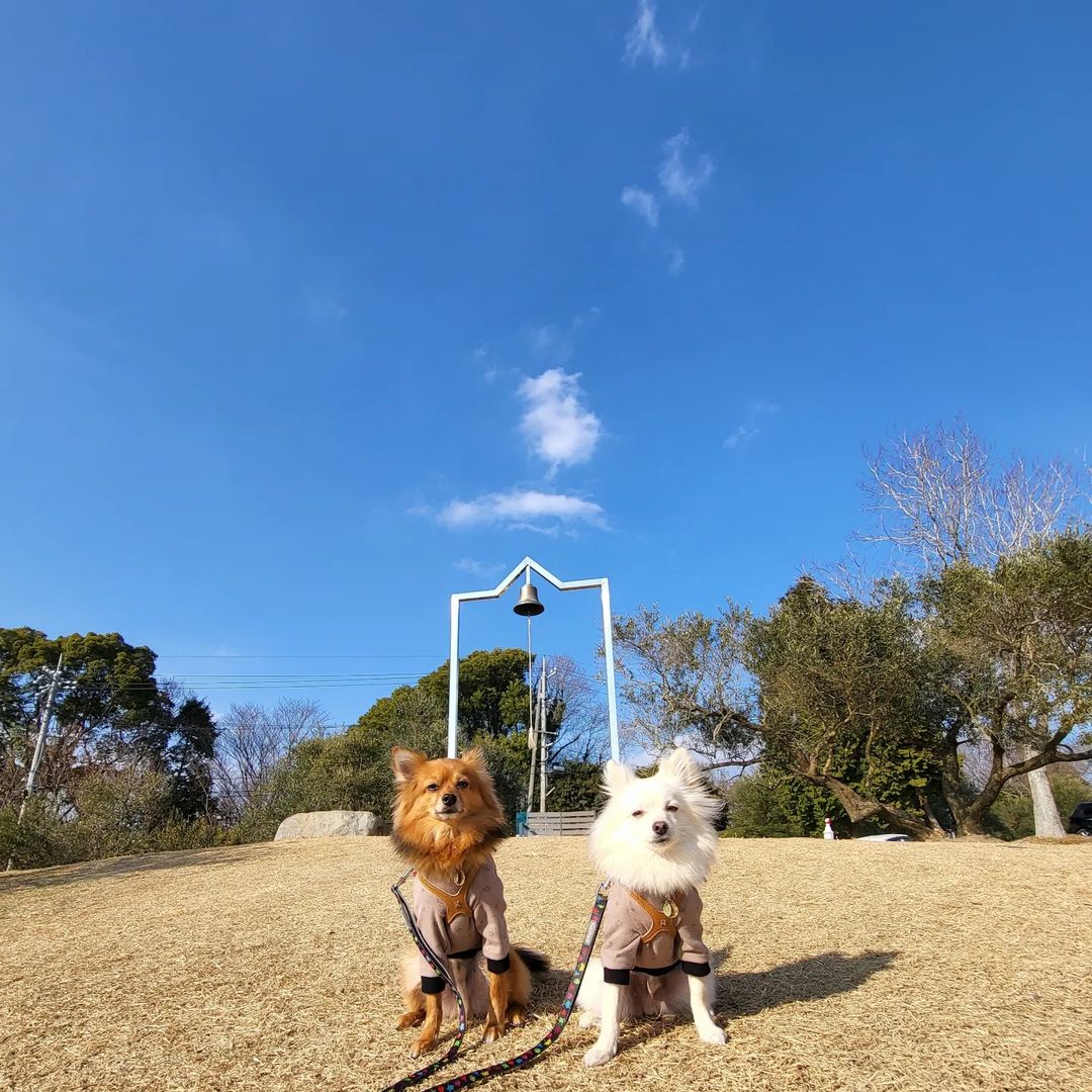 牛窓オリーブ園