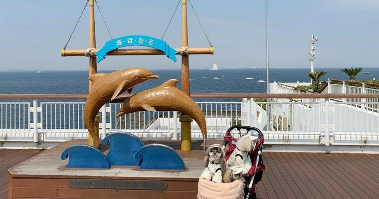 木更津の犬連れでお出かけできるスポット5選！アウトレットや犬と遊べる施設もあり