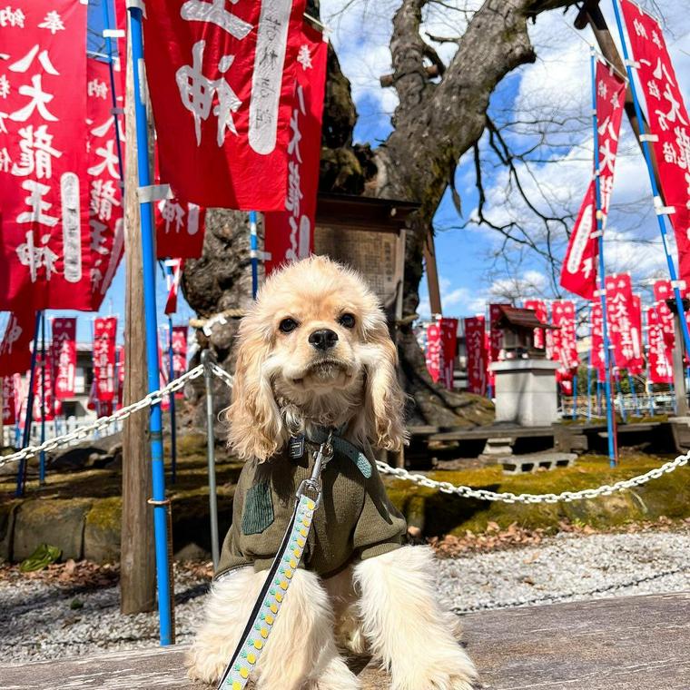 秩父今宮神社