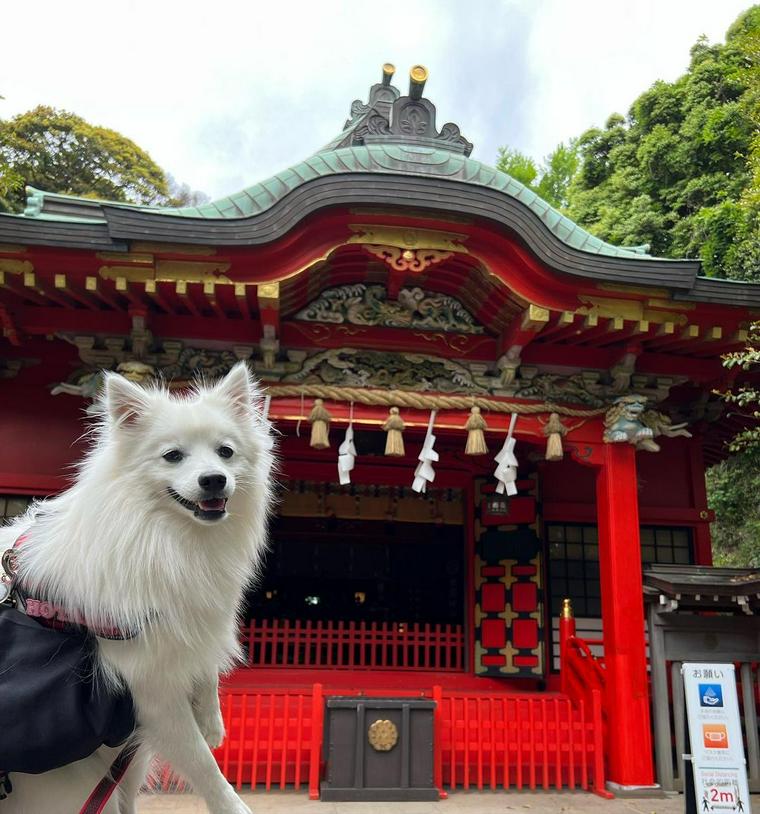 江島神社