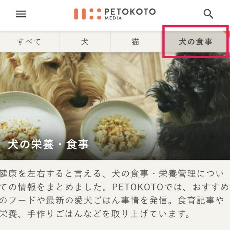 ペトコトMEDIA
