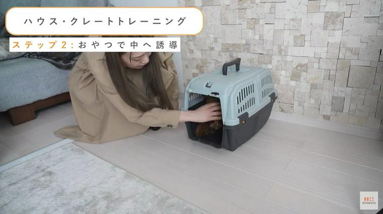 クレートの中におやつを入れる