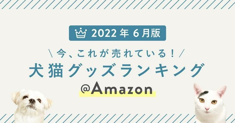 みんなのリアル購入品！ペットグッズ売れ筋ランキングTOP10【Amazon】2022年6月編