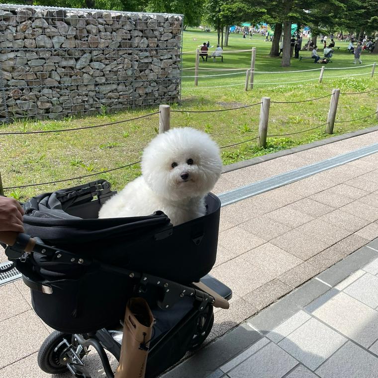 軽井沢プリンスショッピングプラザ