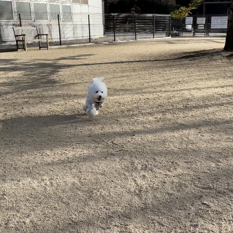 道の駅ろまんちっく村ドッグラン