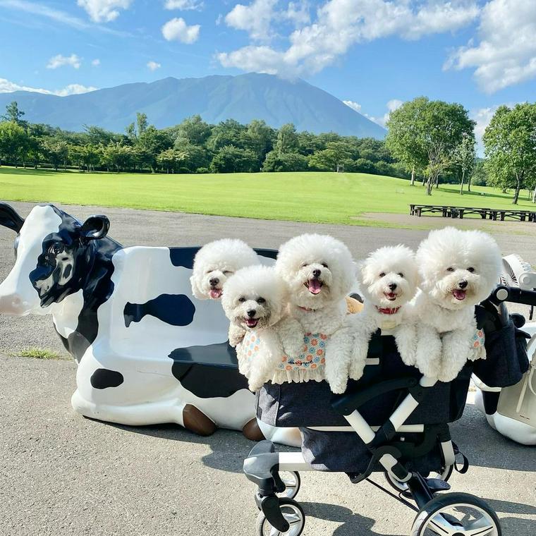 小岩井農場まきば園