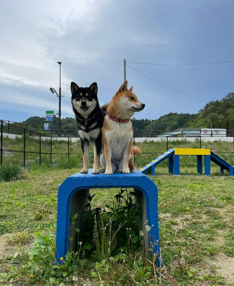 道の駅たろう