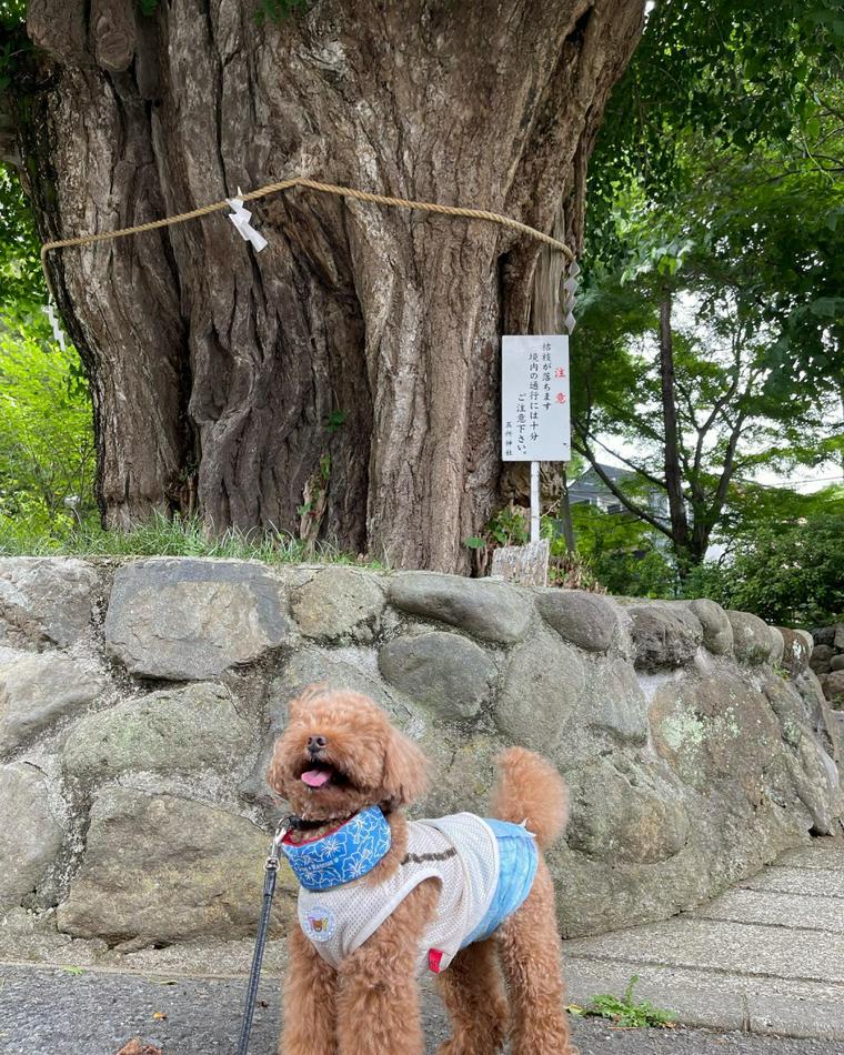 五所神社