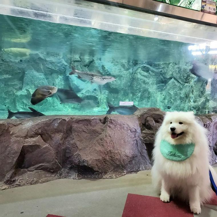 蓼科アミューズメント水族館