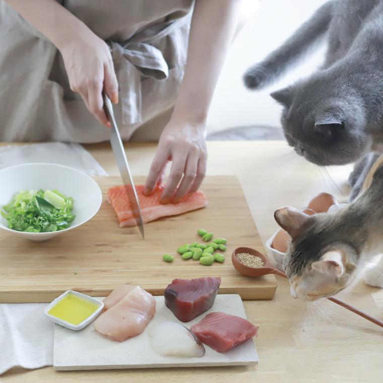 食材の匂いを嗅ぐ猫