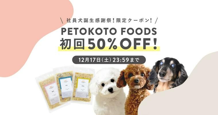 【終了しました】社員犬たちの誕生日記念！PETOKOTO FOODSがお得に購入できる限定クーポンをプレゼント