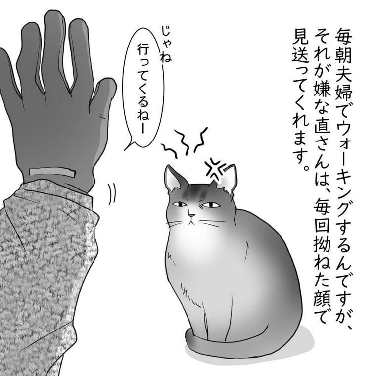 猫まんがウチの直さん1