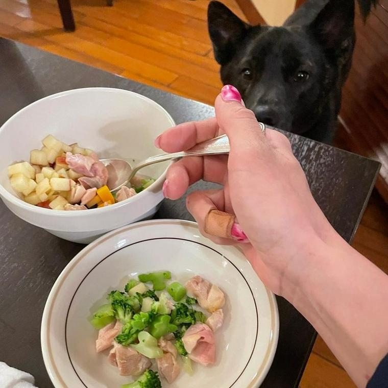 ゆとりろ蓼科ホテル with DOGS