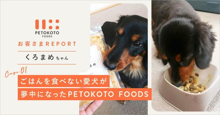 ごはんを食べない愛犬が夢中になったPETOKOTO FOODS 「その瞬間、これを毎日あげようと思った」【お客さまレポート #001】
