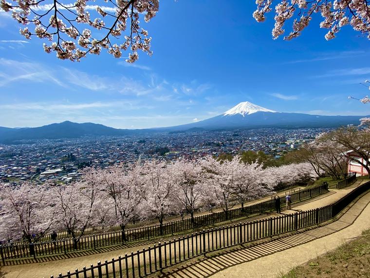新倉山浅間公園