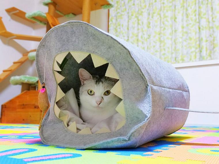 猫用ハウスを手作り！毛糸やダンボールなど手軽に入手できる素材でも自作できます | ペトコト（PETOKOTO）