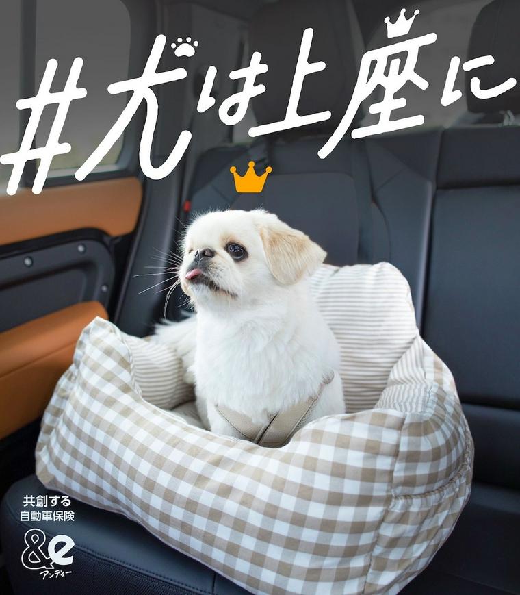 犬は上座にプロジェクト