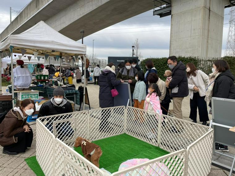 ワンOneDayの保護犬譲渡会の様子