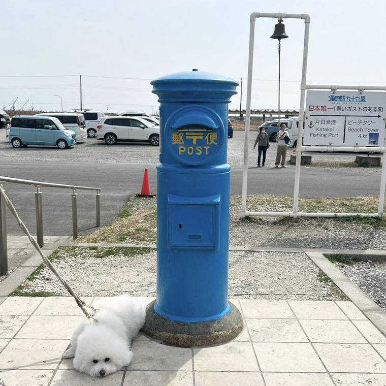 海の駅 九十九里