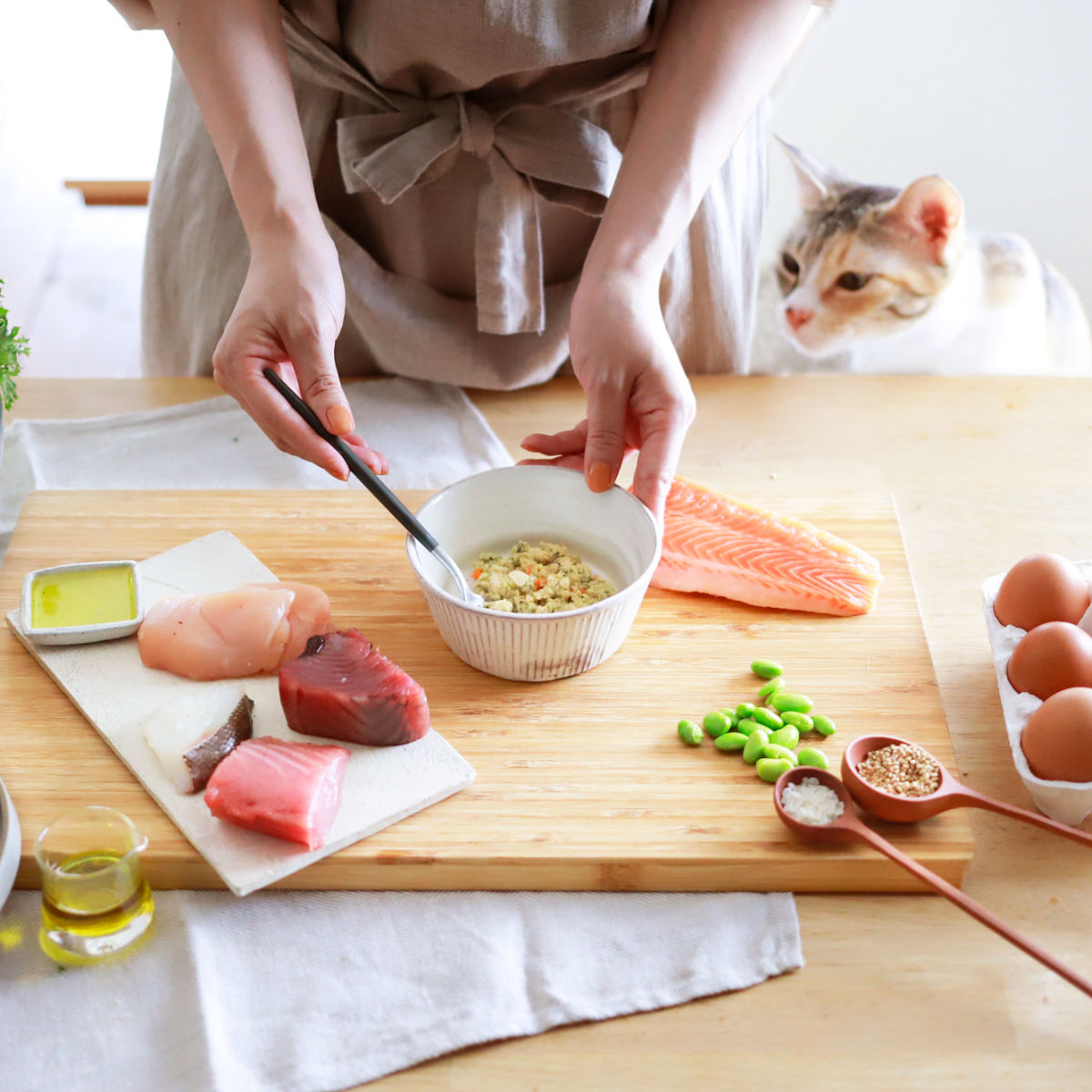 PETOKOTO FOODS for CATS