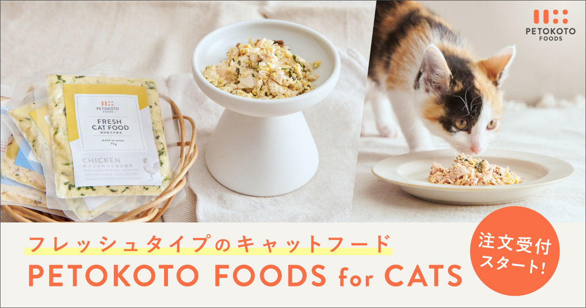 猫200匹と共同開発した理想のごはん「PETOKOTO FOODS for CATS」注文受付スタート