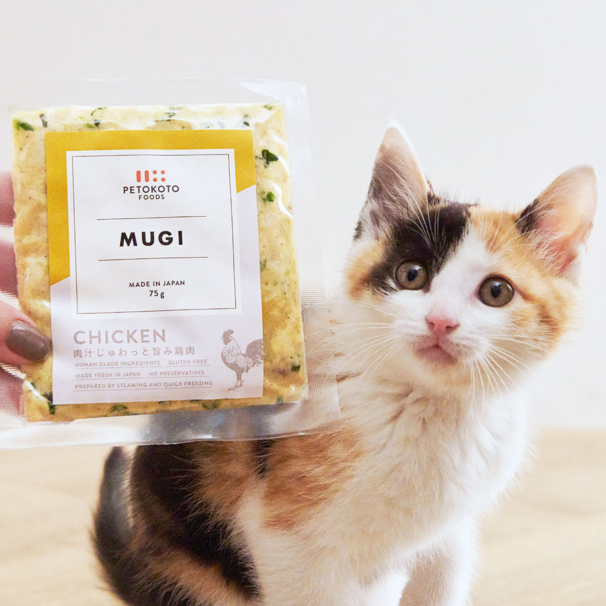 PETOKOTO FOODS for CATSと猫