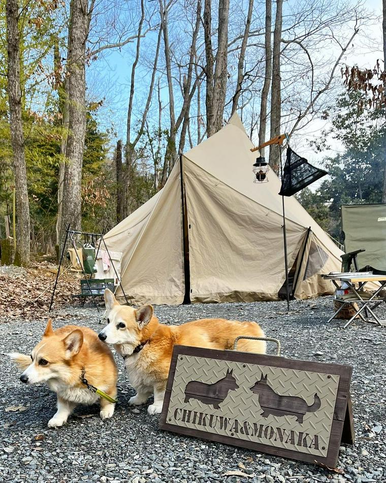 杜のテラス GLANPING&CAMPING
