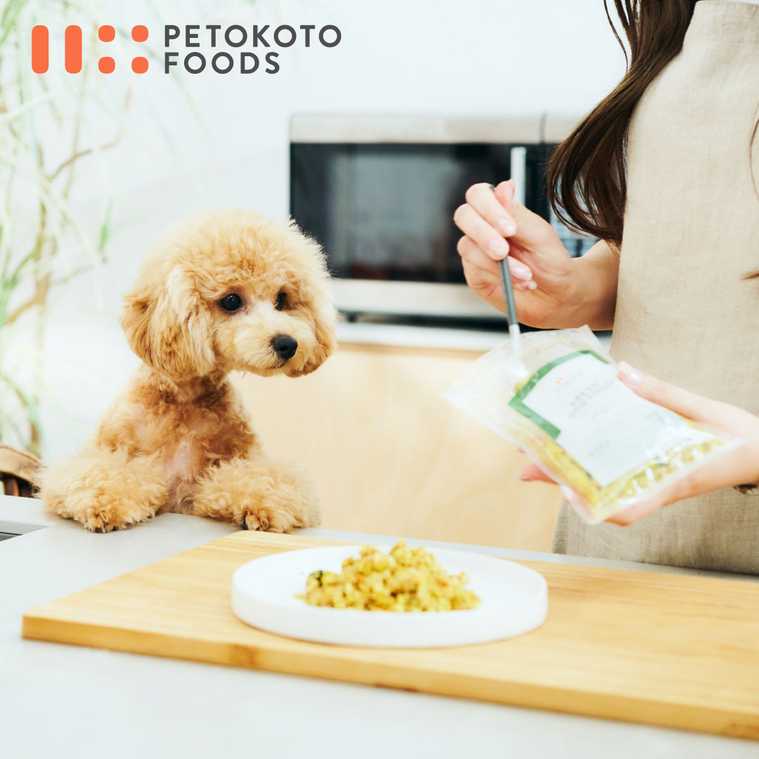 PETOKTOO FOODSを食べたい犬