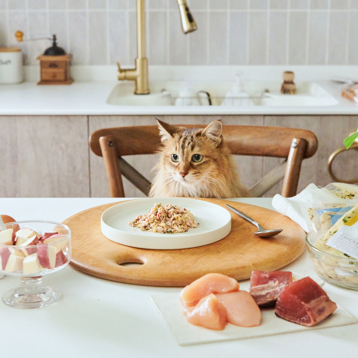 しゃけねこごはん様 - 食品