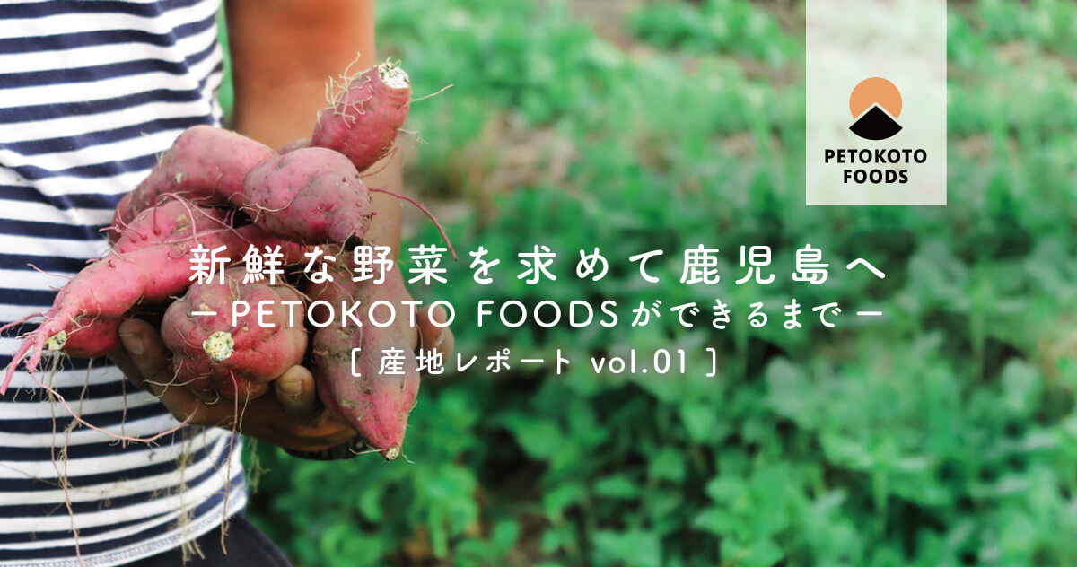 【PETOKOTO FOODSができるまで】作り手の情熱 〜さつまいも農家の菱田さん〜
