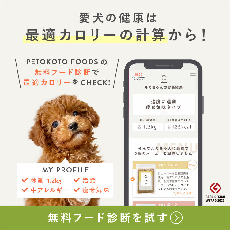 PETOKOTO FOODS