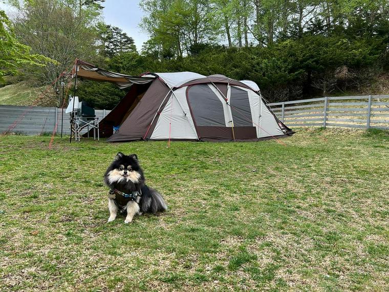 山梨 お風呂完備 ペット キャンプ場