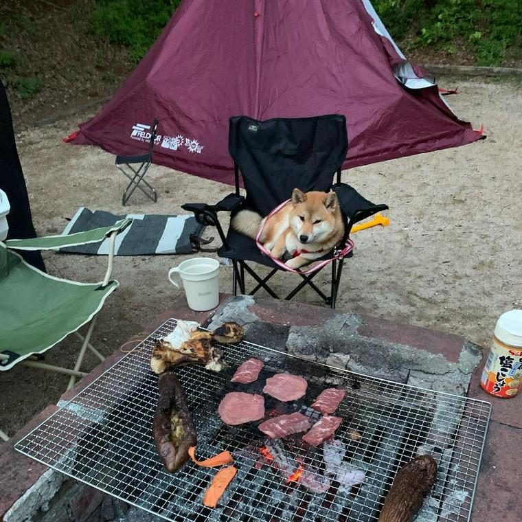 もみのき森林公園オートキャンプ場