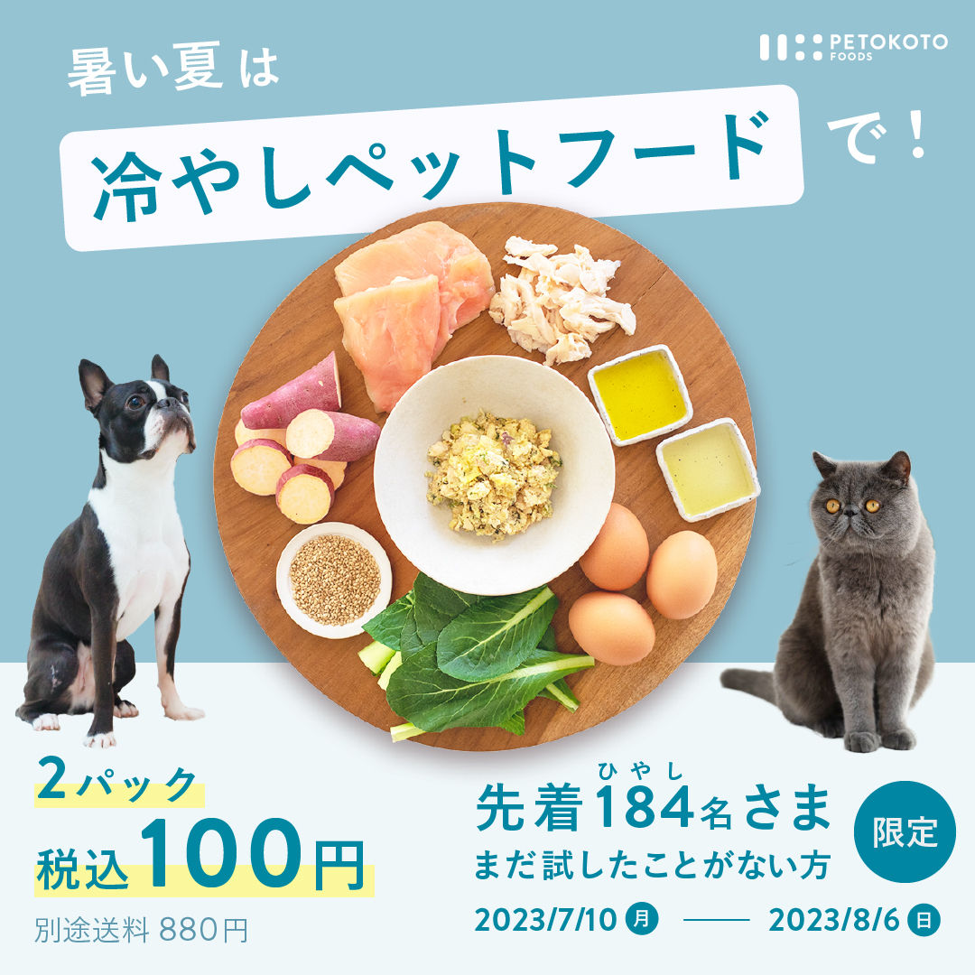 冷やしペットフードキャンペーン